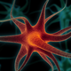 Illustration for article titled A single brain cell can predict whether youll spend or save